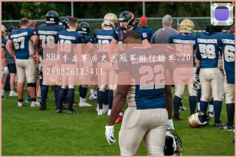 NBA季后赛历史总冠军排行榜单_20260526125411