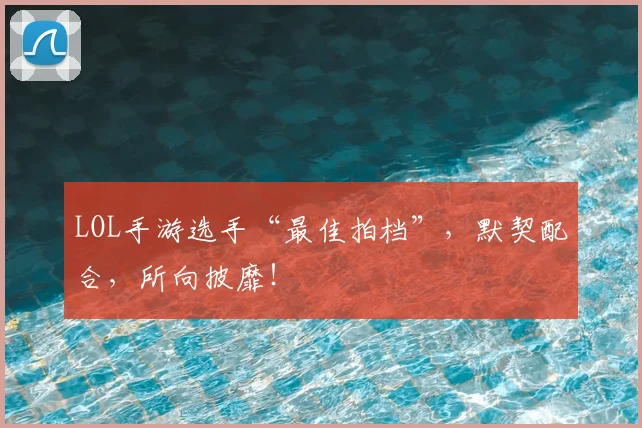 LOL手游选手“最佳拍档”，默契配合，所向披靡！