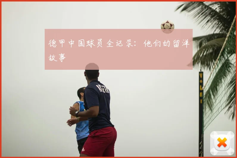 德甲中国球员全记录:他们的留洋故事